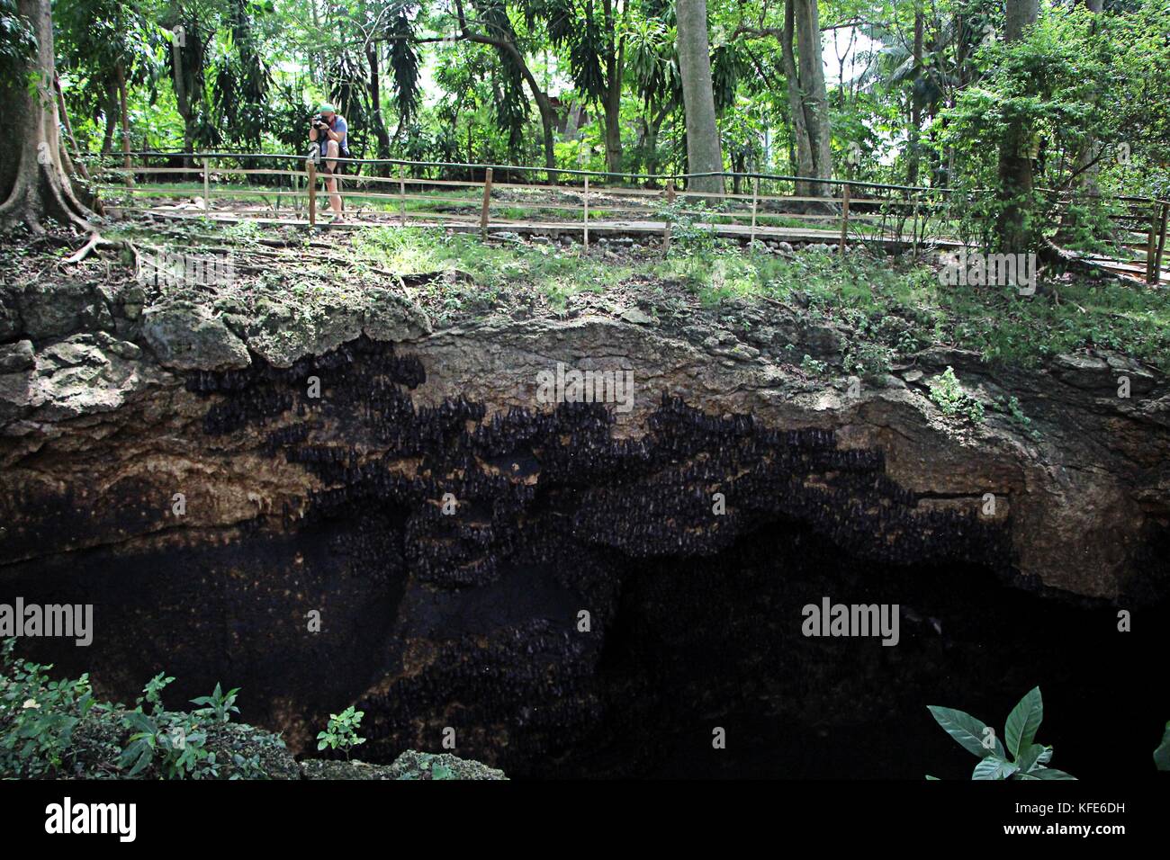 Tourist enjoyed taking pictures the Monfort Bat Colony, located in the Monfort Cave at Samal