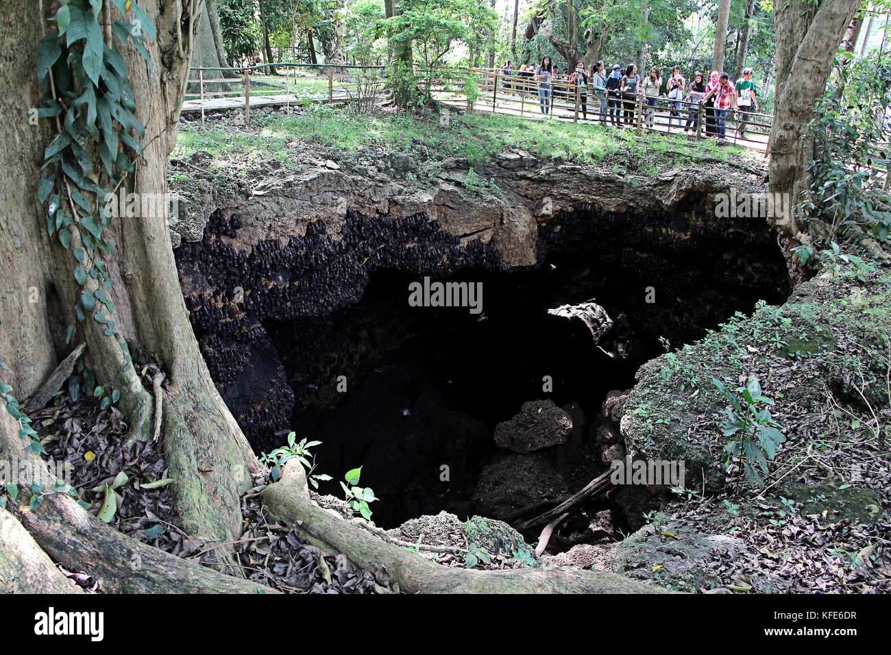 Tourist enjoyed taking pictures the Monfort Bat Colony, located in the Monfort Cave at Samal
