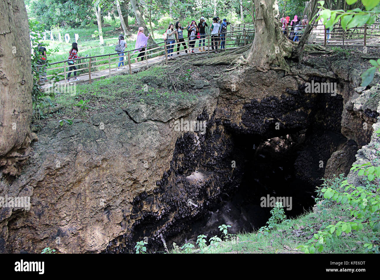 Tourist enjoyed taking pictures the Monfort Bat Colony, located in the Monfort Cave at Samal