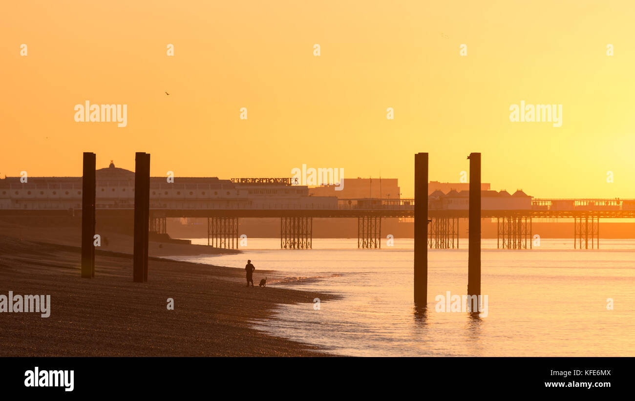 A Man and a dog walk along the Beach at Dawn in Front of the Palace Pier, Brighton, UK. Stock Photo