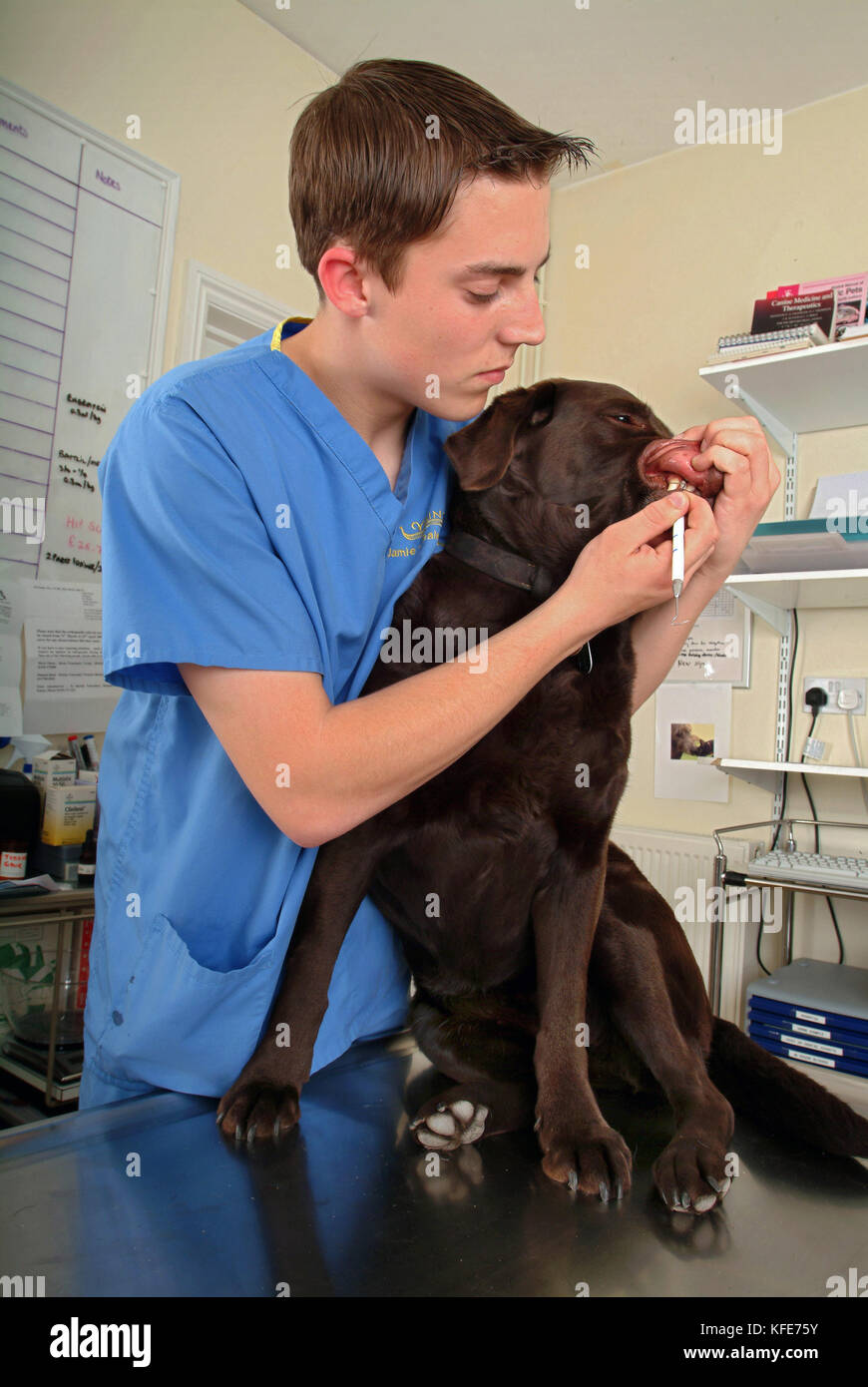 Trainee veterinary nurse, Jamie Burt with vet Maria Lowe at Viking