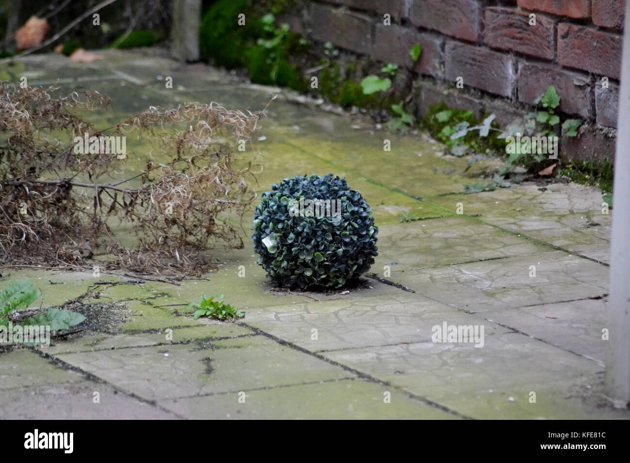 Fake plant on the ground in a garden Stock Photo Alamy