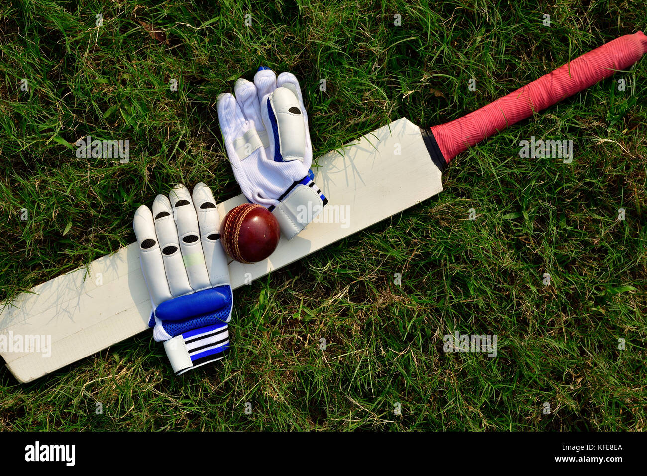 Cricket gloves and bat on green grass Stock Photo