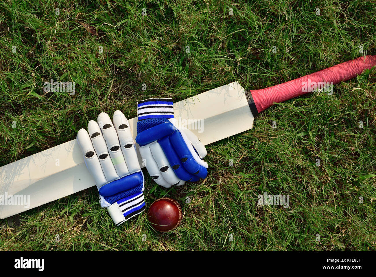 Cricket gloves and bat on green grass Stock Photo