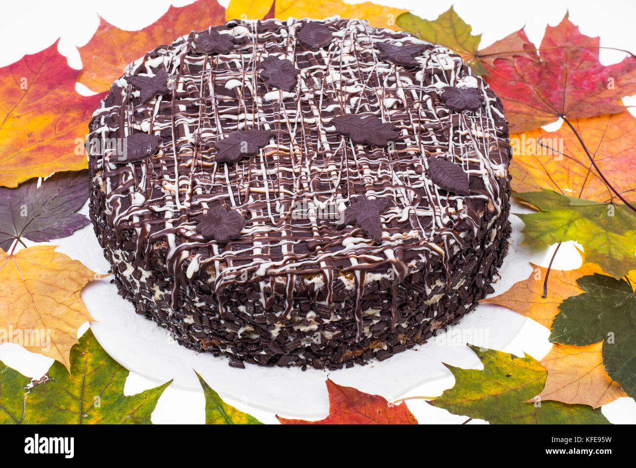 Homemade Chocolate Pie On Background Of Colorful Autumn Maple Leaves Stock Photo Alamy