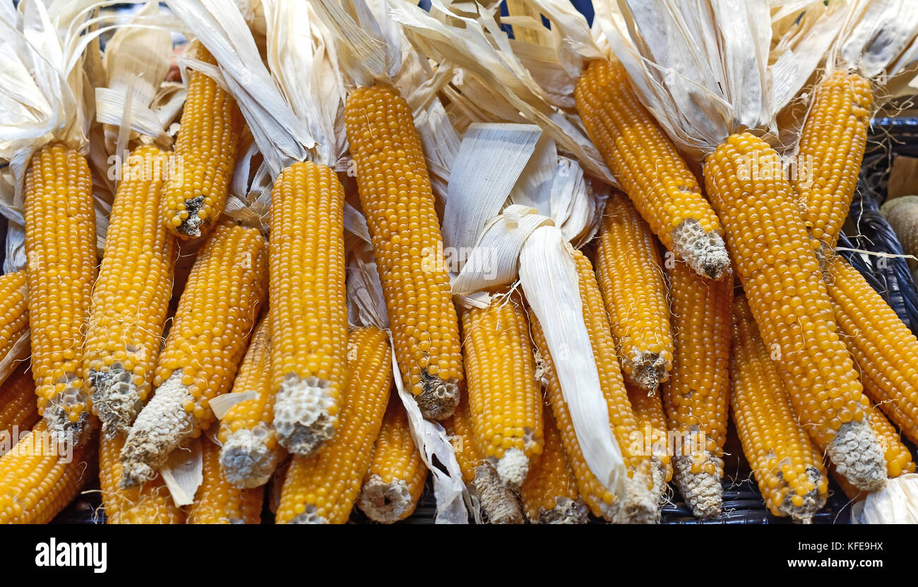 Raw popping corn. Stock Photo