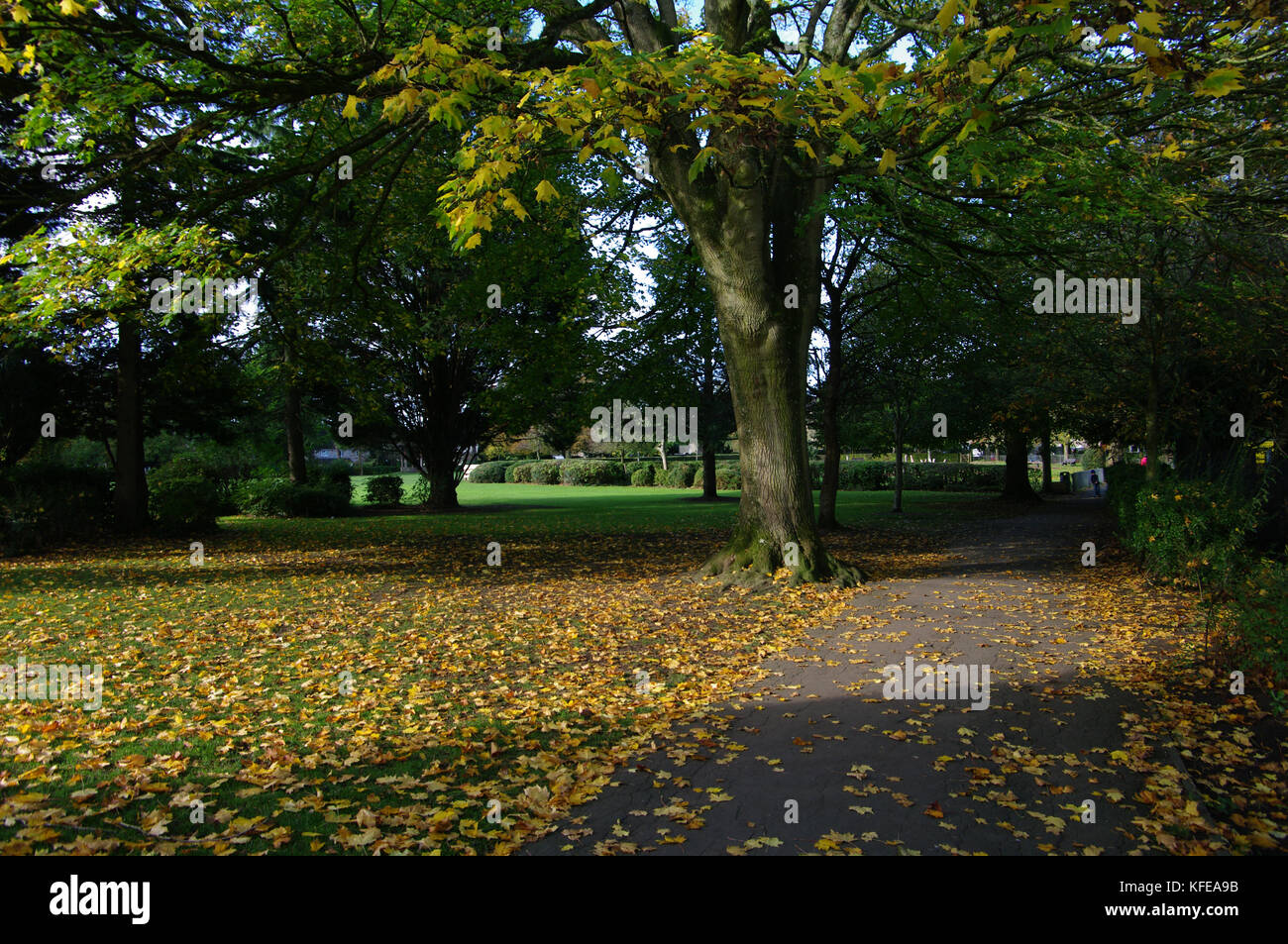 Victoria Park, Frome, Somerset, UK Stock Photo