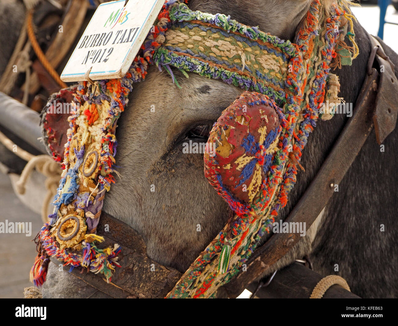 donkey with colourful decorated harness and a sign reading Burro taxi No. 12 at the Donkey-taxi rank in Mijas, Spain Stock Photo