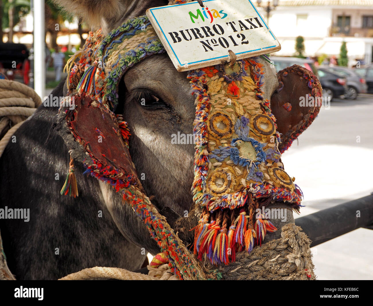 donkey with colourful decorated harness and a sign reading Burro taxi No. 12 at the Donkey-taxi rank in Mijas, Spain Stock Photo