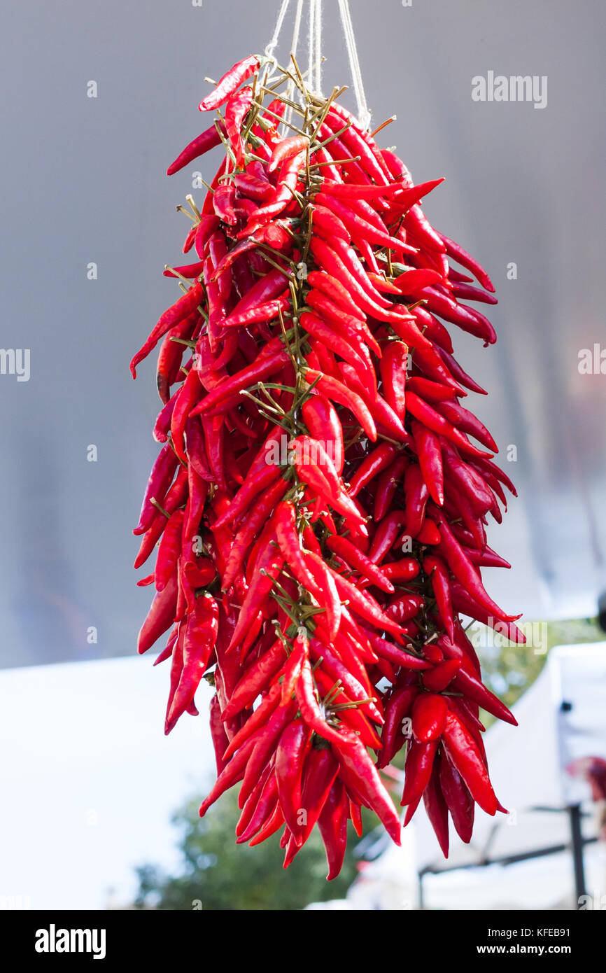 Hanging bunch of red hot chili peppers for sale at Sineu market ...
