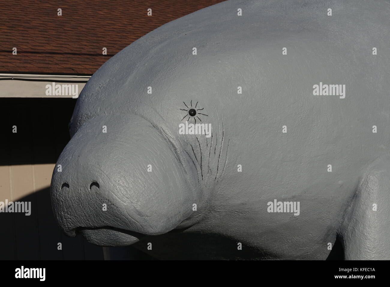 The famous large Manatee statue at the entrance to the Homosassa