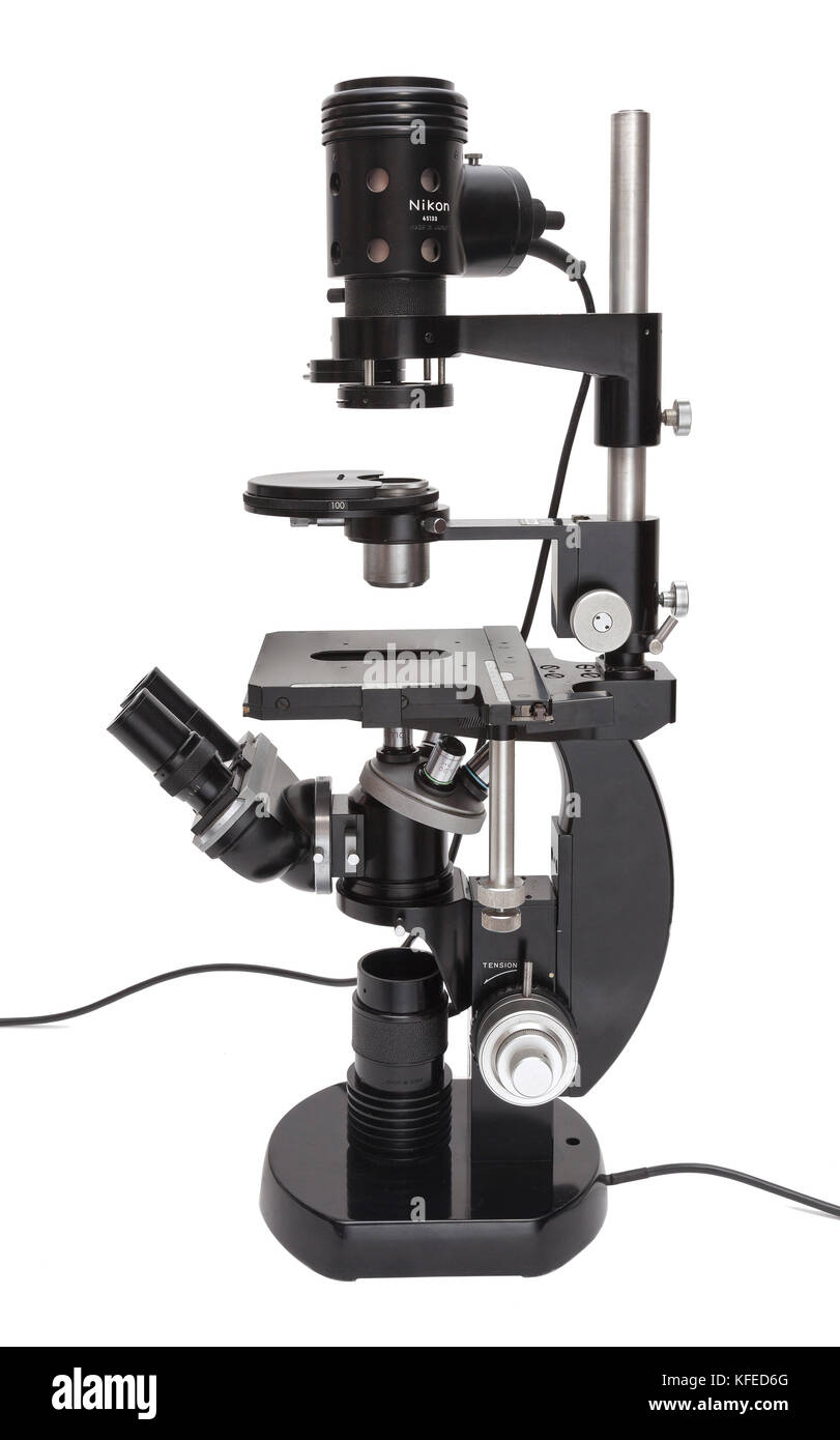 Vintage Nikon MS inverted compound microscope, phase contrast, epi and transmitted illumination Stock Photo