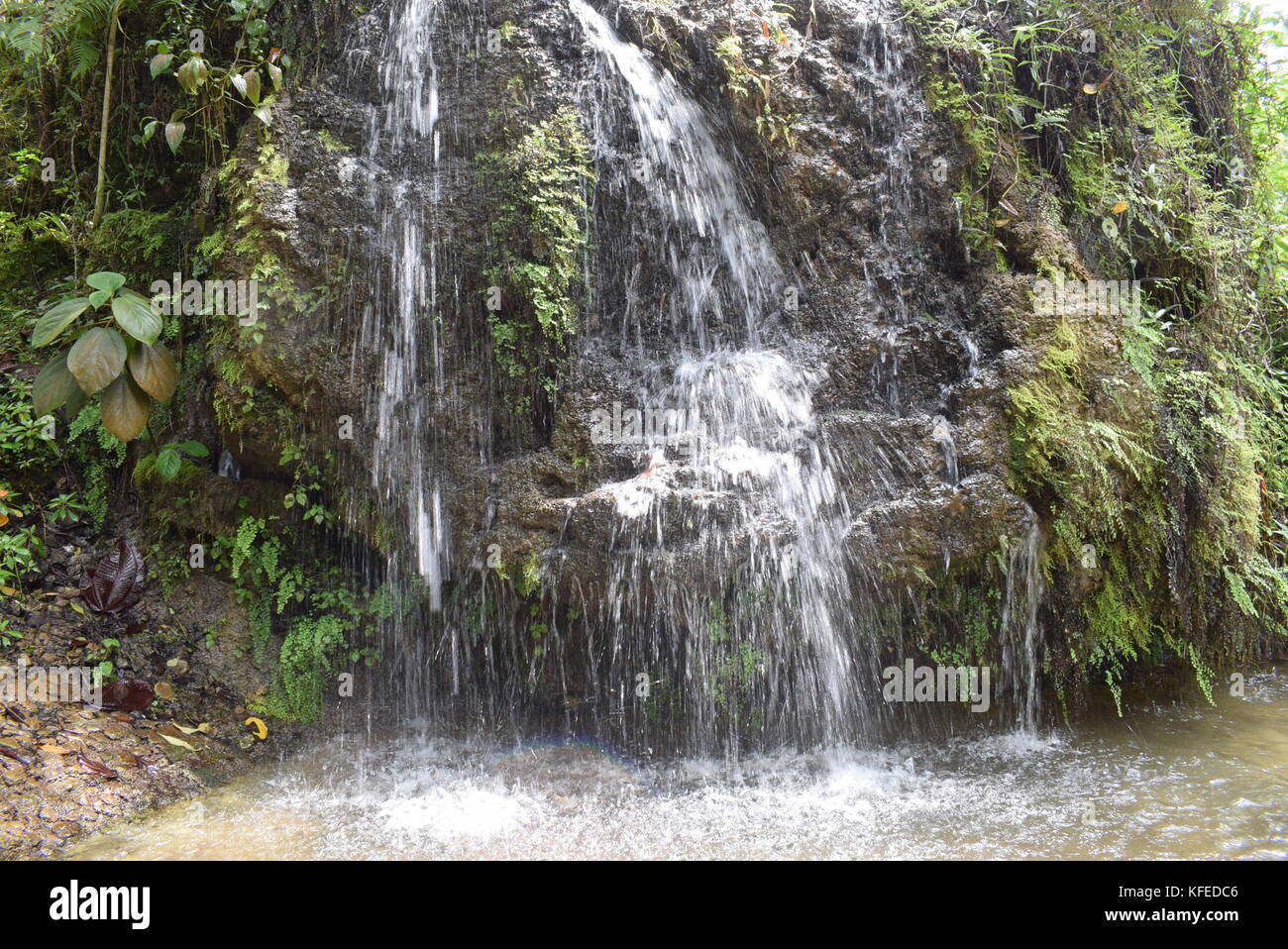 Hermosa cascada en Semuc Champey Stock Photo