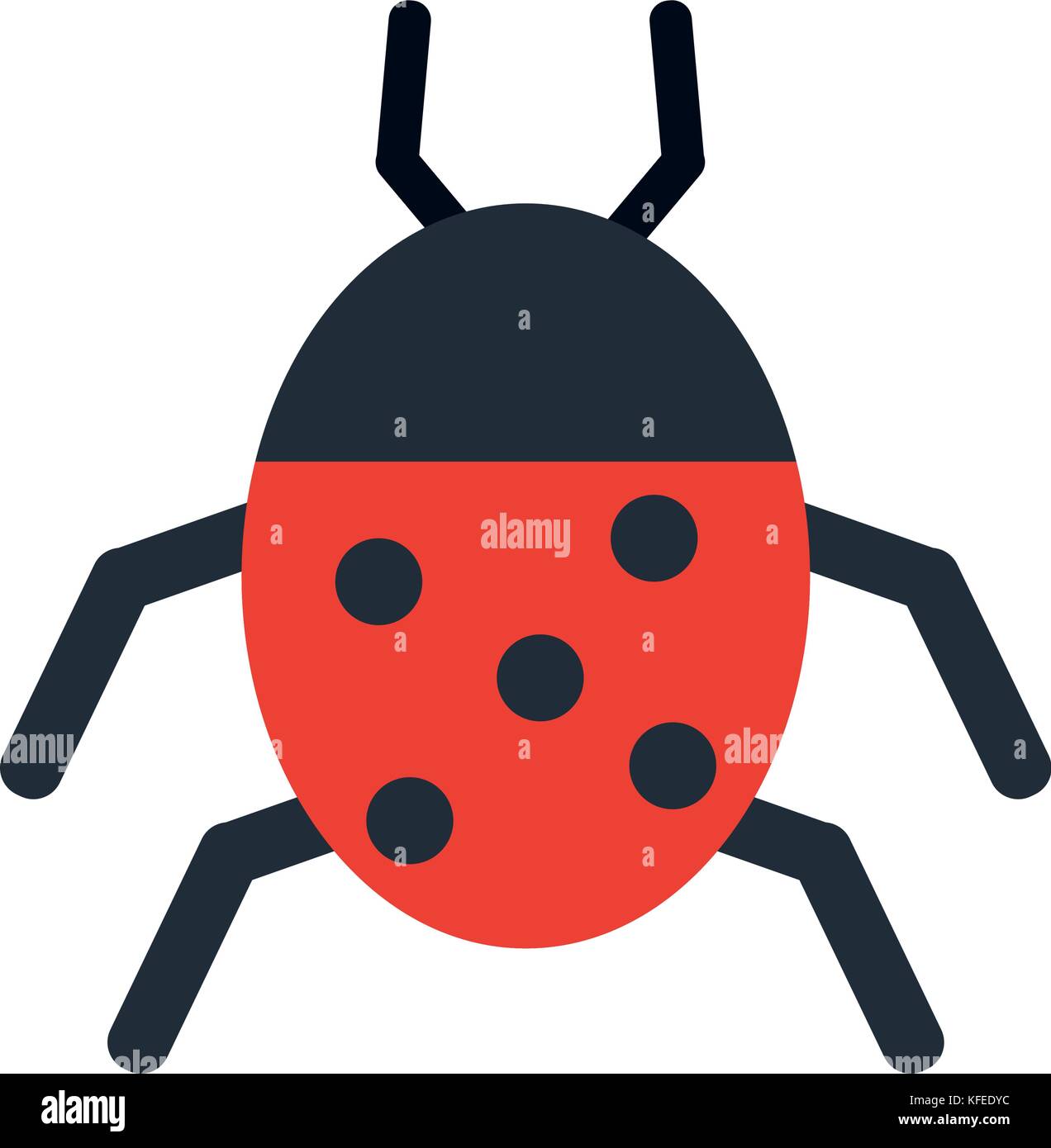 Zoo beetle Stock Vector Images - Alamy