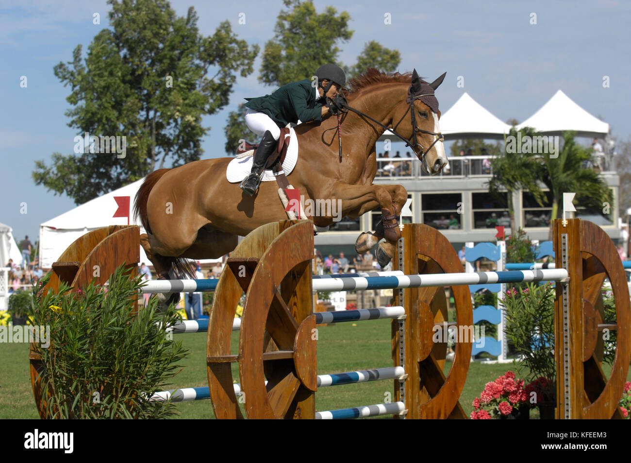 Margie Engle (USA) riding Hidden Creeks Wapino, Winter Equestrian  Festival, Wellington Florida, PBIEC Inaugural Cup January 2007 Stock Photo  - Alamy