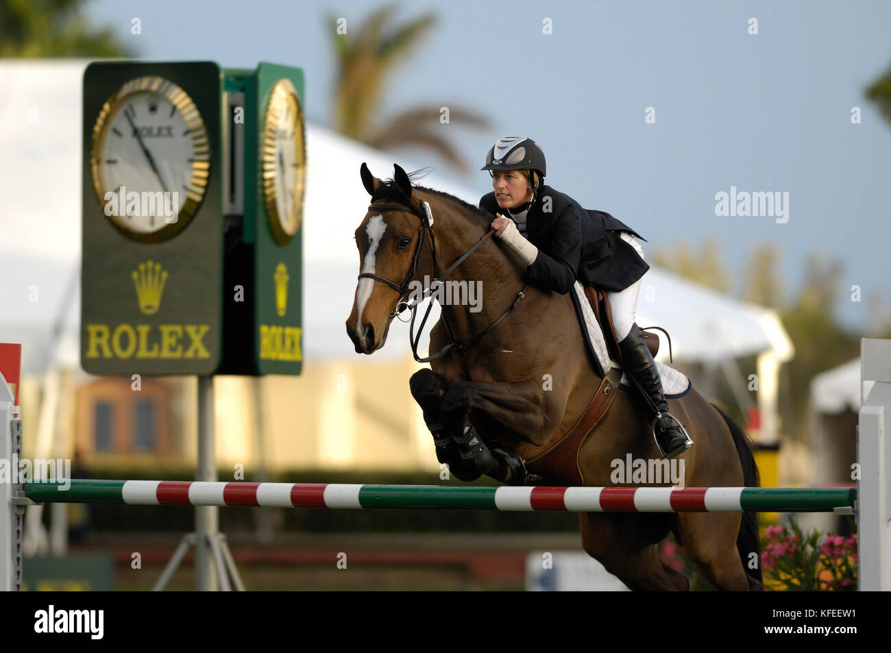 National Horse Show, Palm Beach Post National Stake, November
