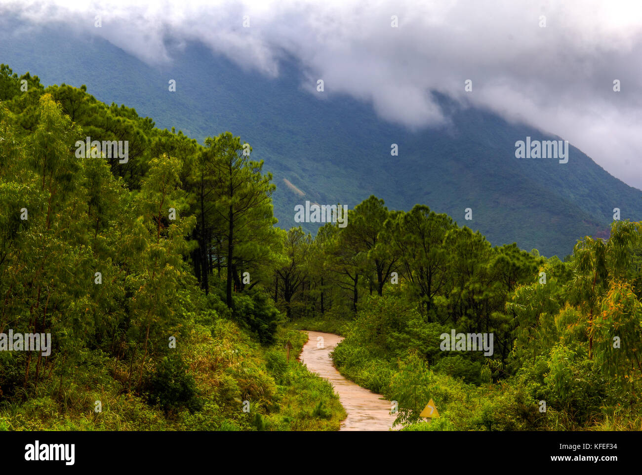 Beautiful Landscape Vietnam Of Road Pass Stock Photo