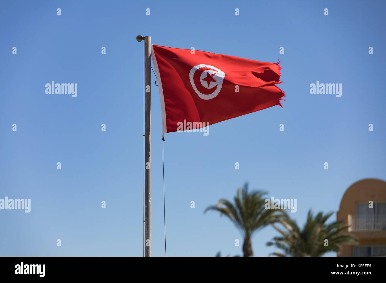 Tunisian flag waving in the blue sky in the beach. Stock Photo