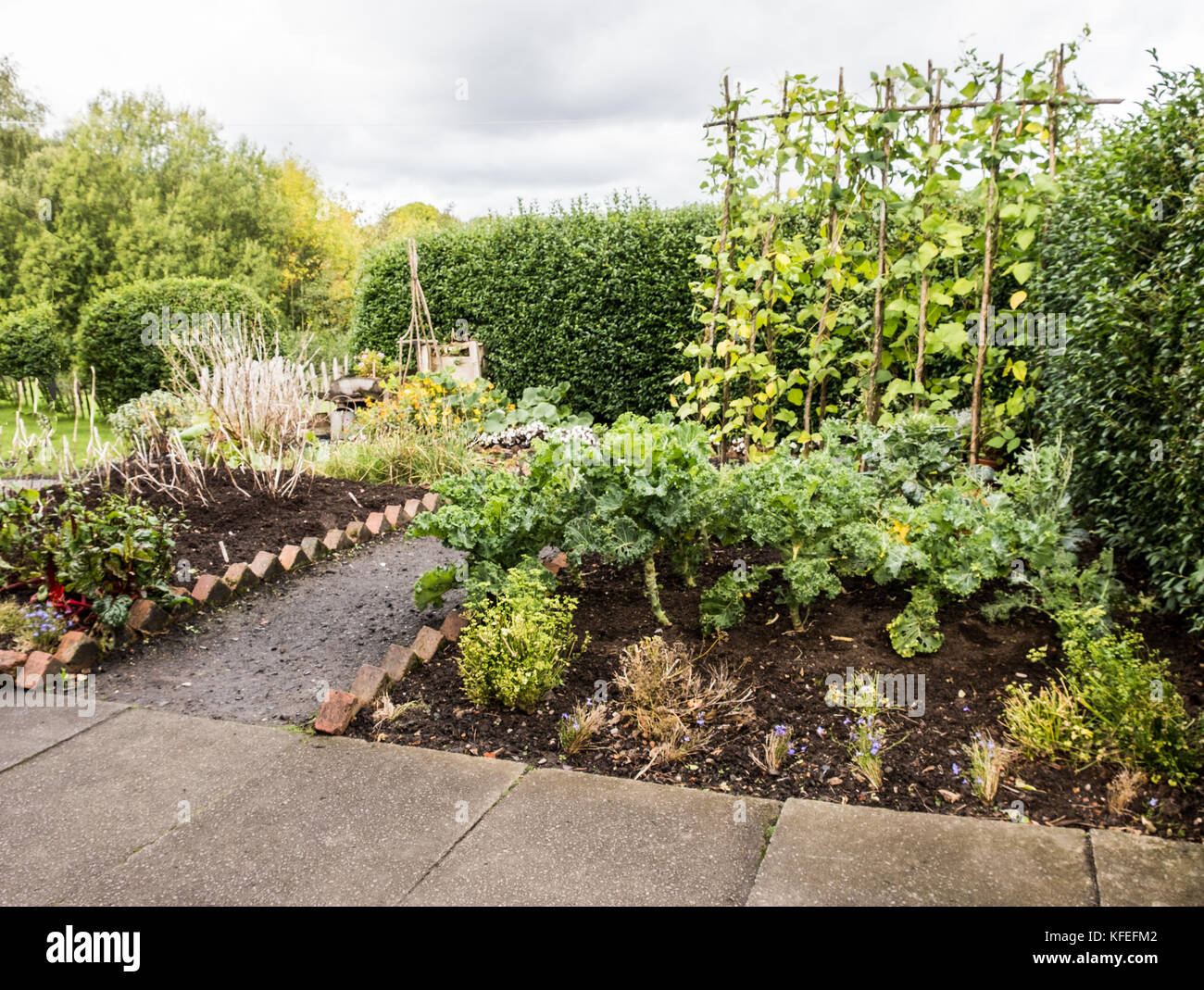 a 1950s style vegetable garden in the black country museum october KFEFM2