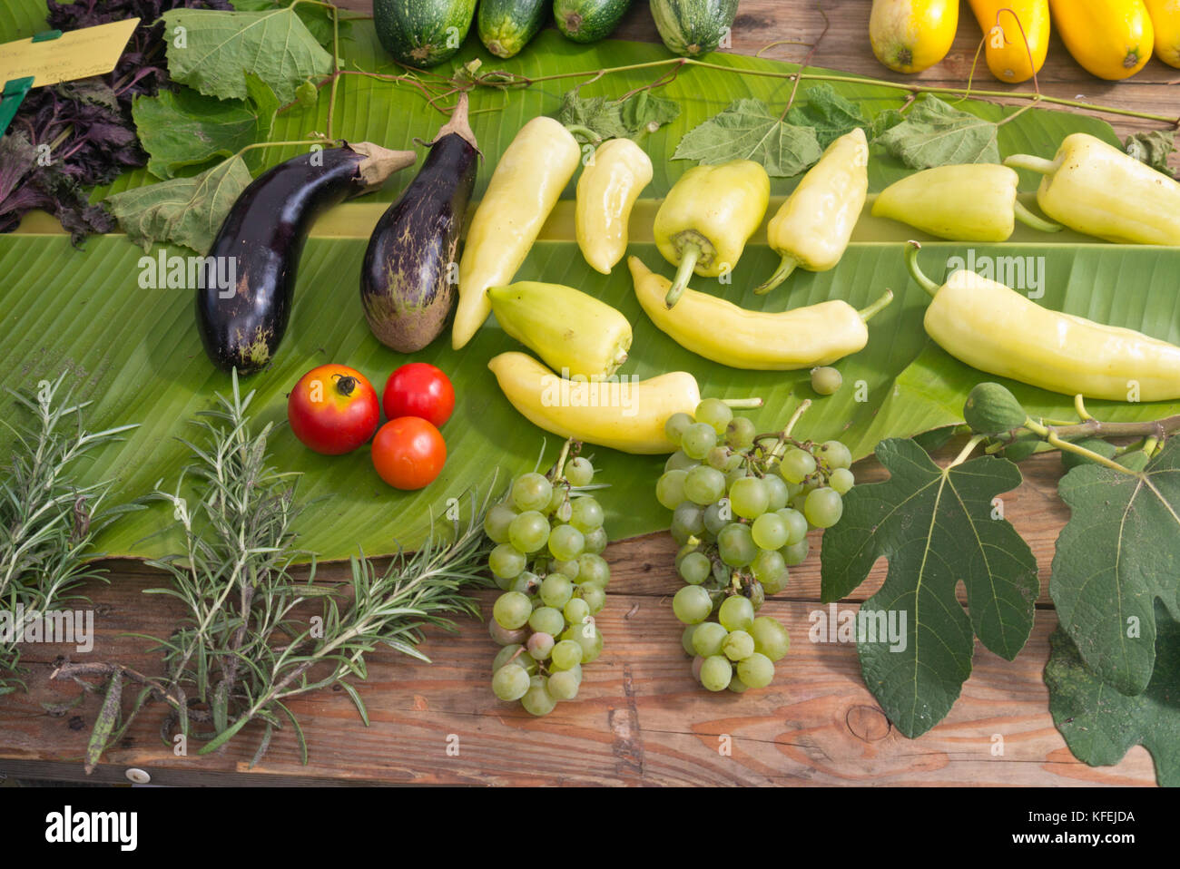 Aubergines (Solanum melongena), tomatoes (Lycopersicon esculentum), sweet peppers (Capsicum) and grape vines (Vitis vinifera) Stock Photo