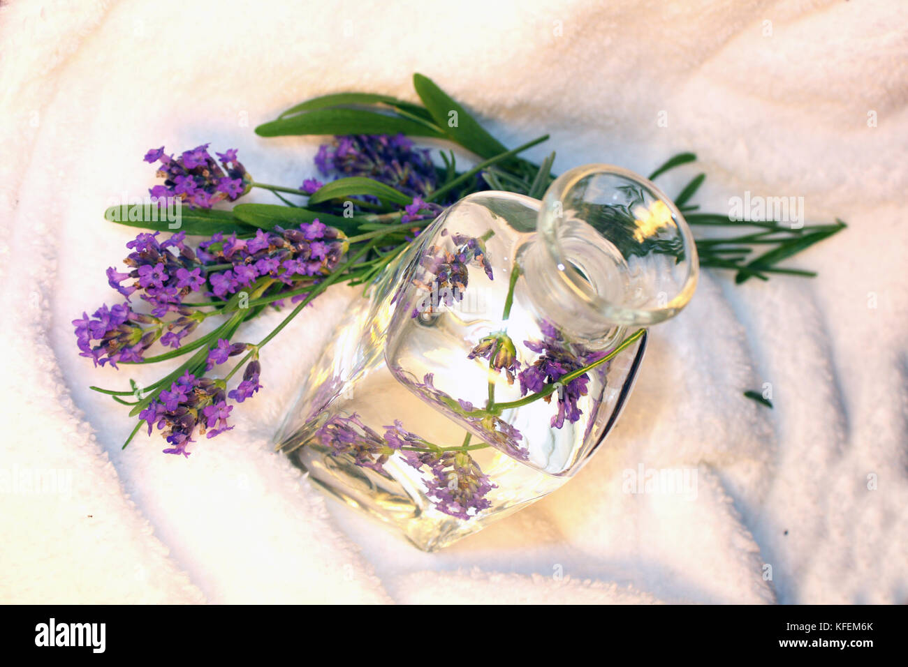 Lavendelöl, Lavendel Wasser, Lavandula angustifolia Stock Photo