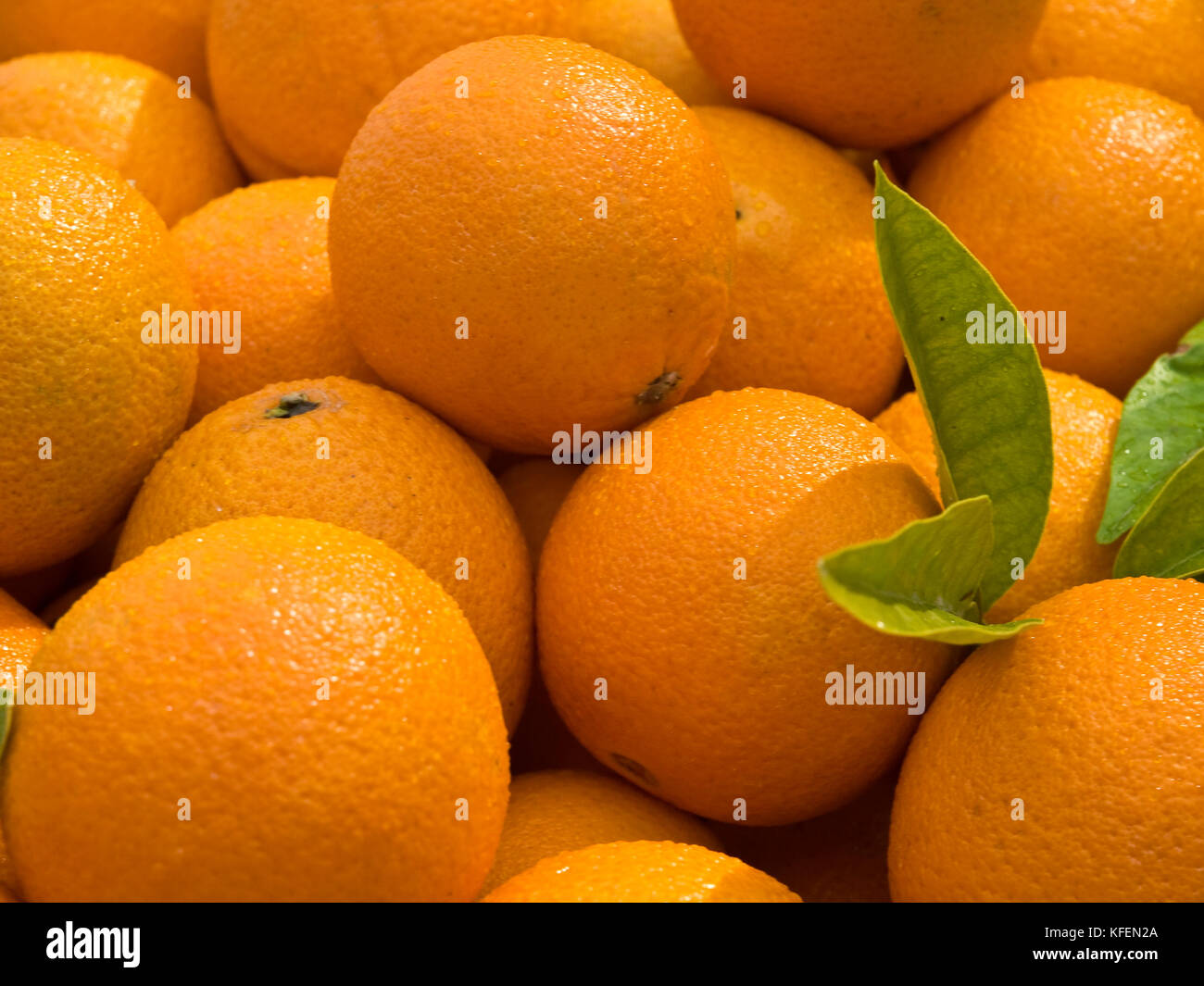Malta is known for having one of the best oranges in the world commonly