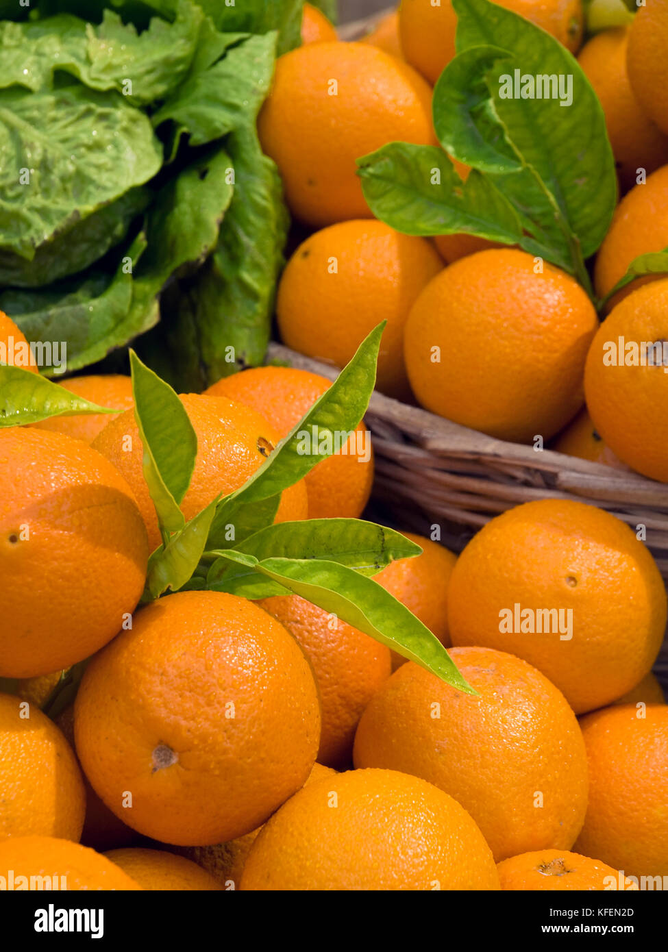Malta is known for having one of the best oranges in the world commonly