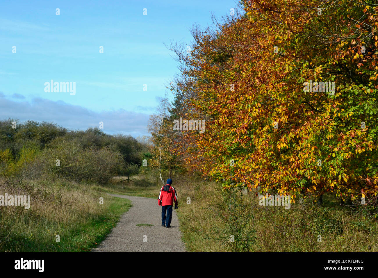 Man walking on footpath around College Lake Nature Reserve ...