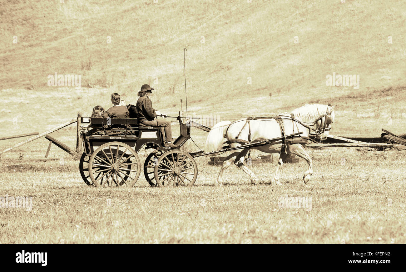 Civil War re-enactement horse wagon in Duncans Mills, California, USA- aged photo rendering Stock Photo