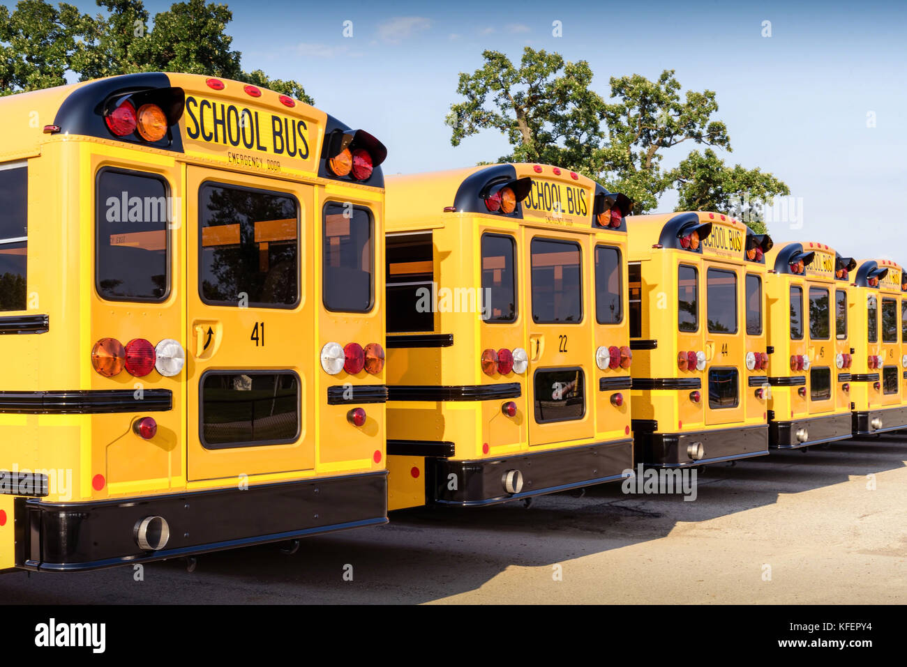 clean yellow school buses ready for first day of classes Stock Photo