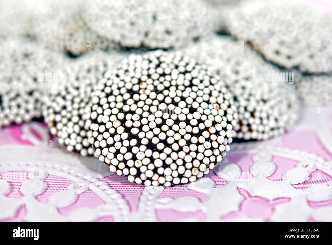 close up of nonpareil candy on paper lace doily Stock Photo