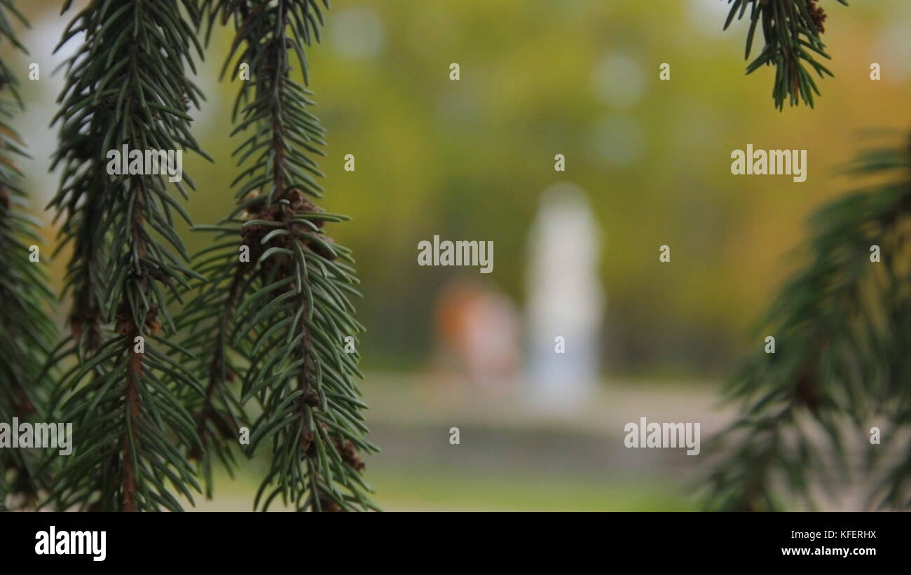 A view of a loving couple kissing in the park in autumn. Loving couple