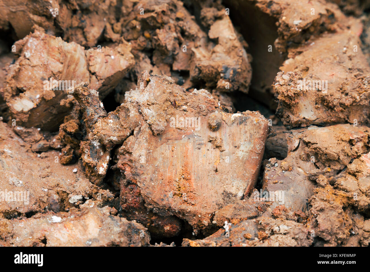 close up wet clod clay soil at the construction site or field, construction and agriculture background. Stock Photo