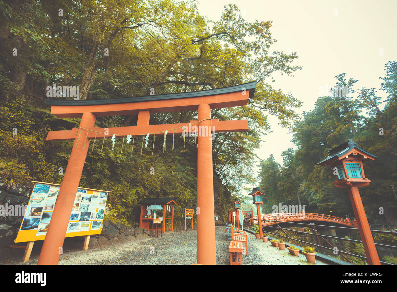 red Torii gate with red wooden Shinkyo bridge and green forest after ...