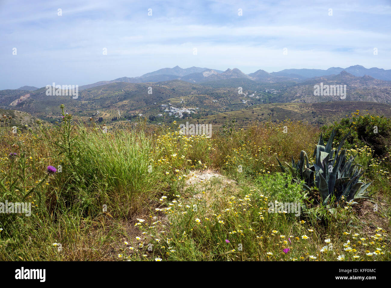 Green landscape at middle of Naxos island, Cyclades, Aegean, Greece Stock Photo