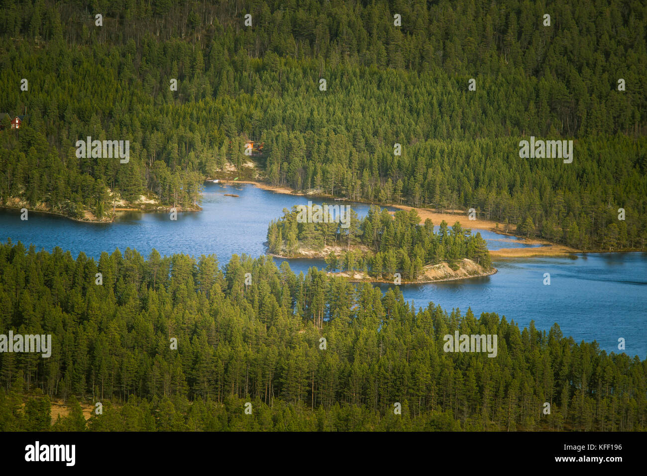 A beautiful aerial view of an autumn forest with lake in Norway. Pine ...