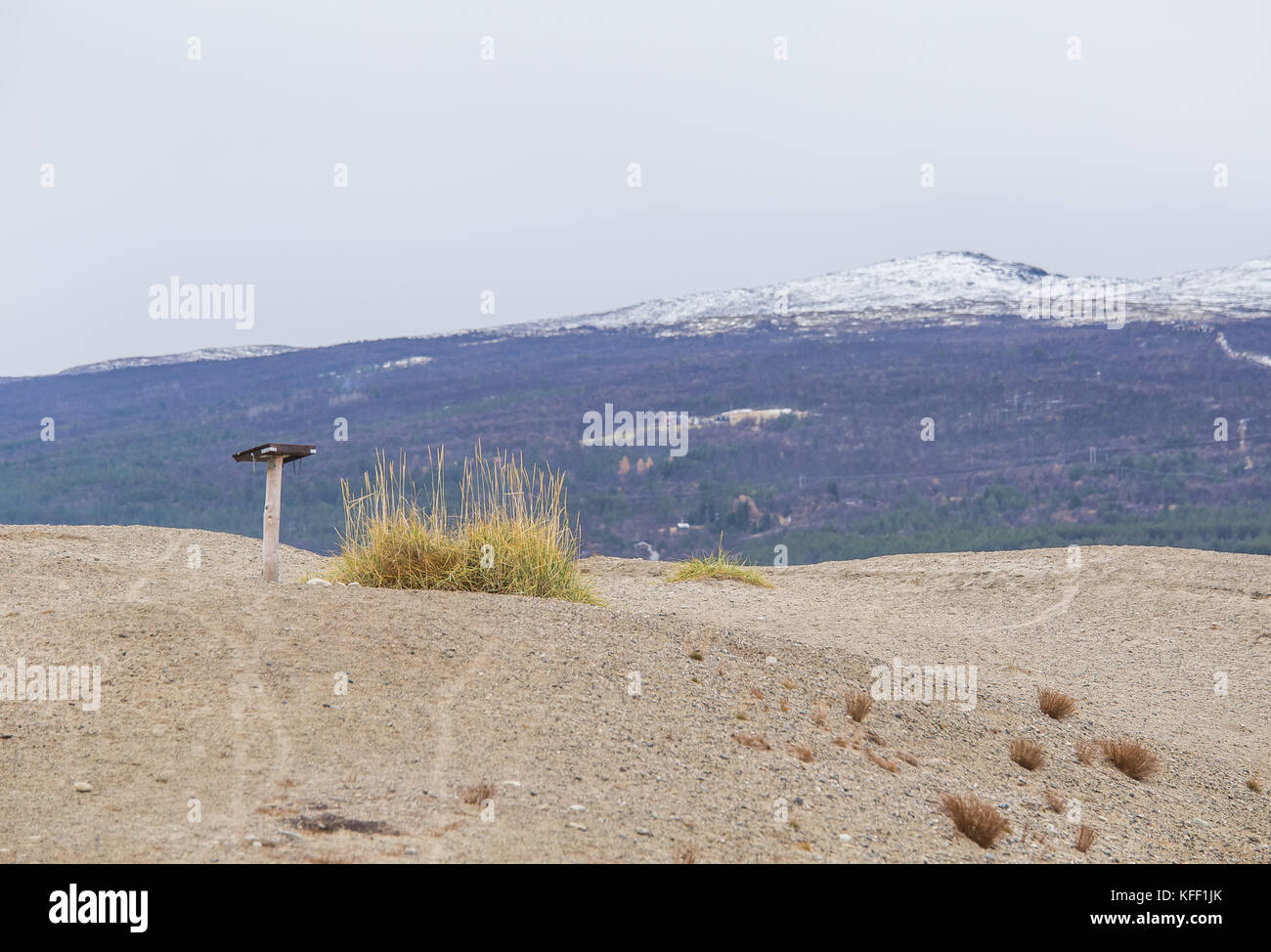 A beautiful sand dune in the middle of Norway. Northern desert in central Scandinavia in autumn. Colorful scenery that looks like a barren land. Stock Photo