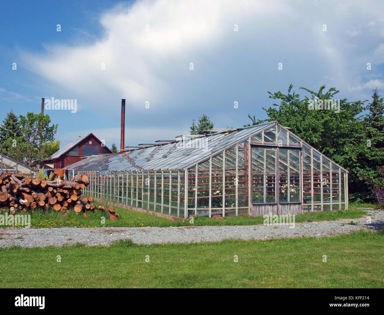 Homemade big glass greenhouse with water heating system Stock Photo