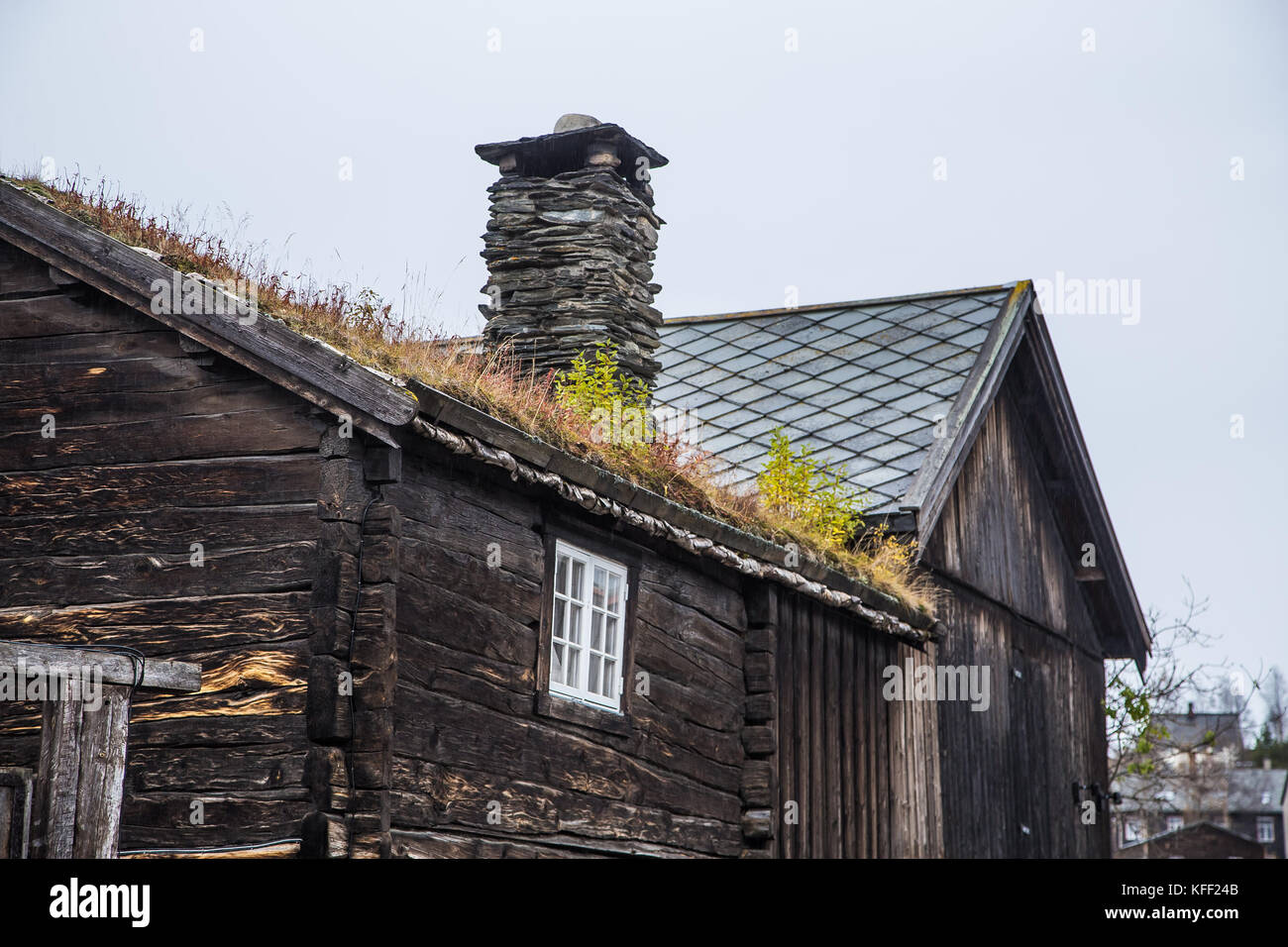 A beautiful wooden house in the forest with a grass and moss growing on ...