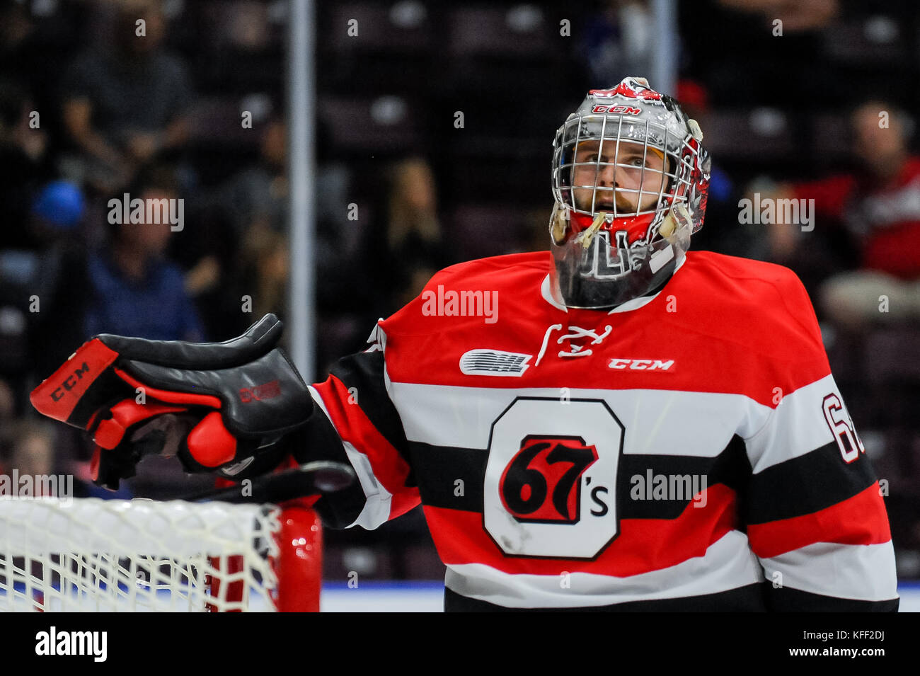 Ice hockey canada arena game hires stock photography and images Alamy
