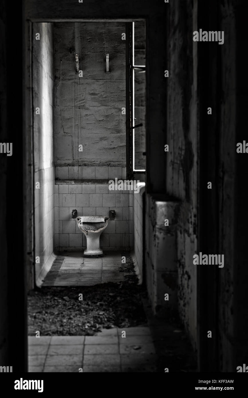 Coprophobia is the fear of anything related to a bowel movment, toilets