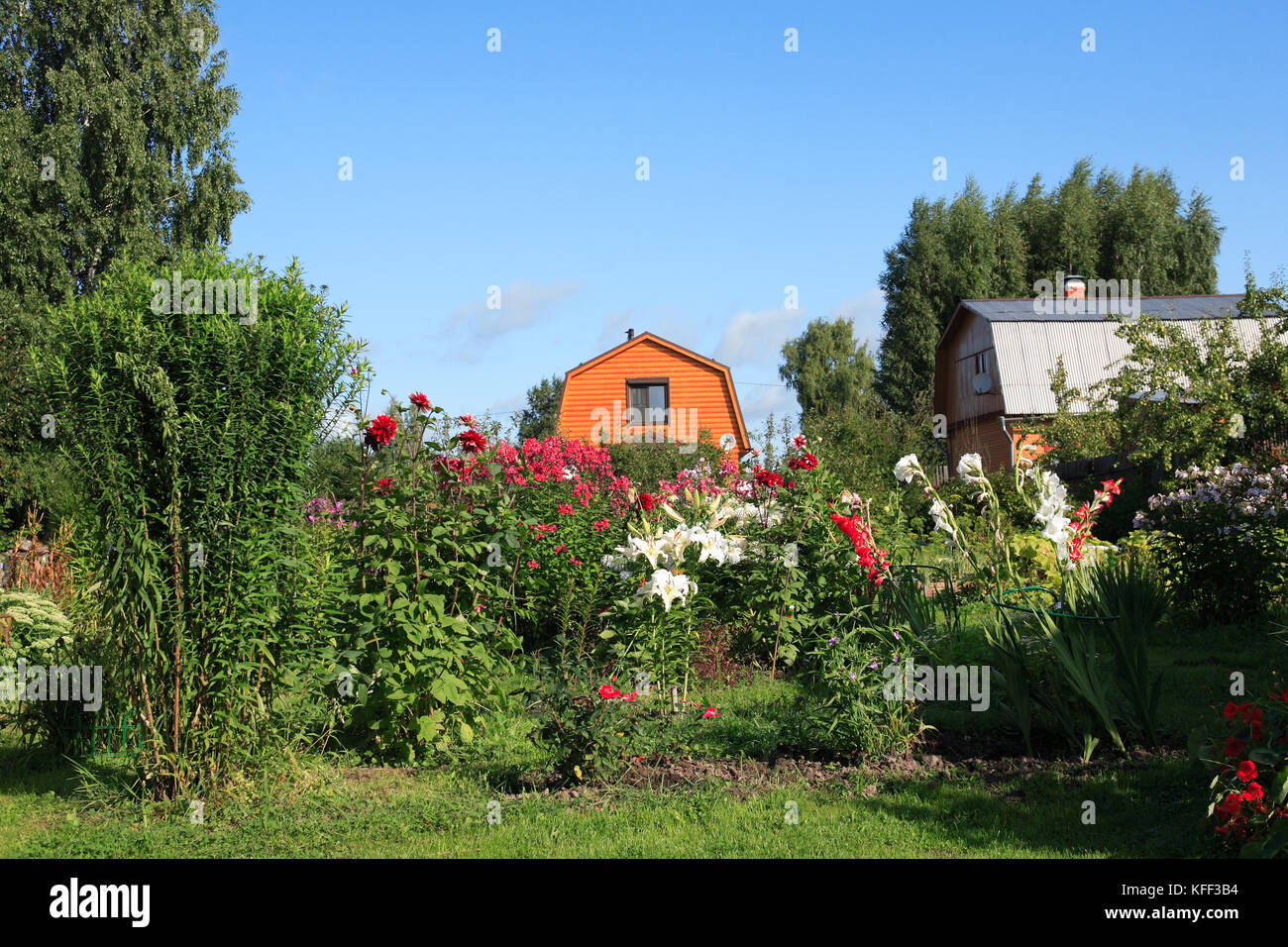 View of wooden country house on background with plants and flowers Stock Photo