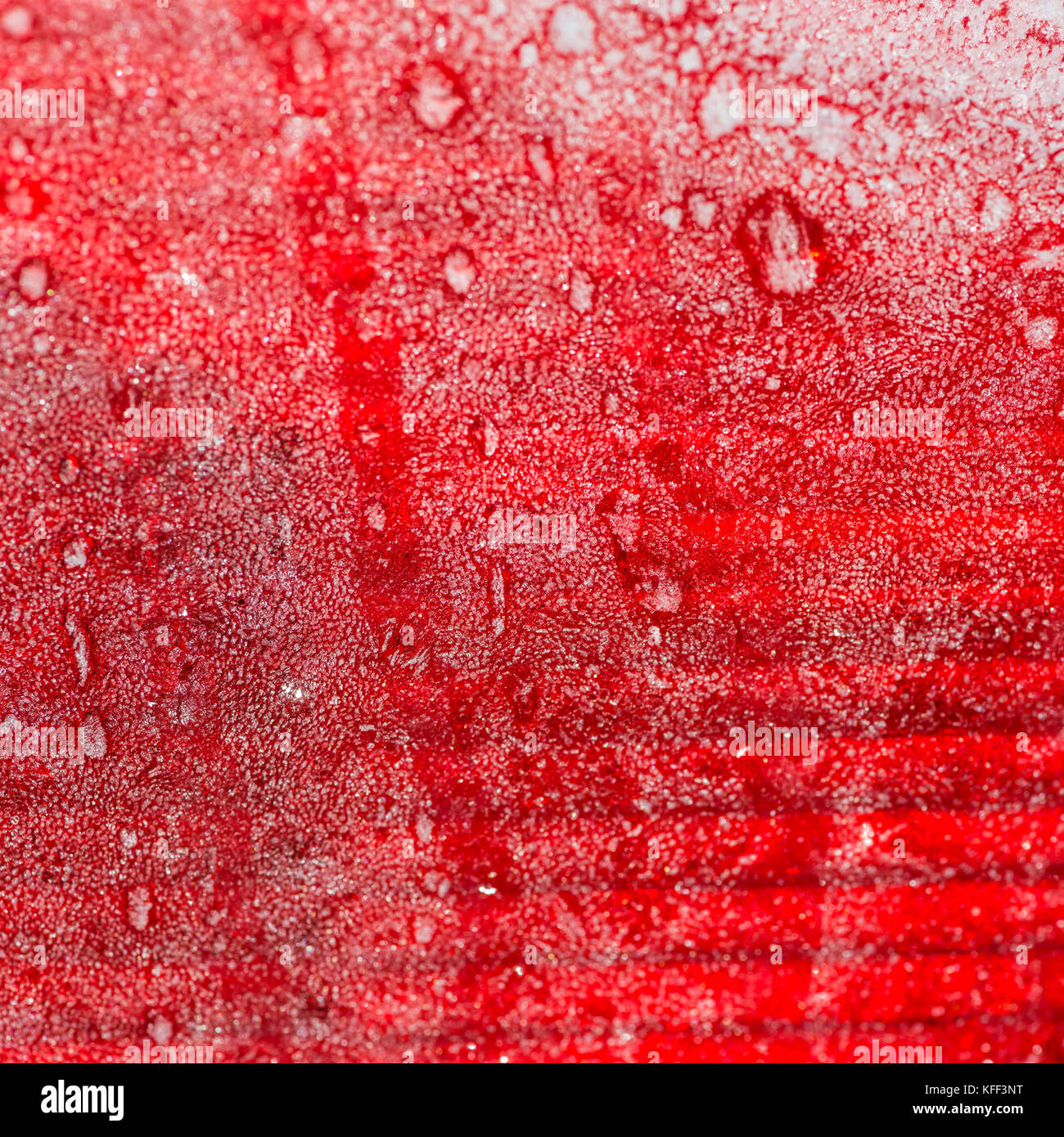 An abstract macro shot of a frozen car brake lamp Stock Photo - Alamy