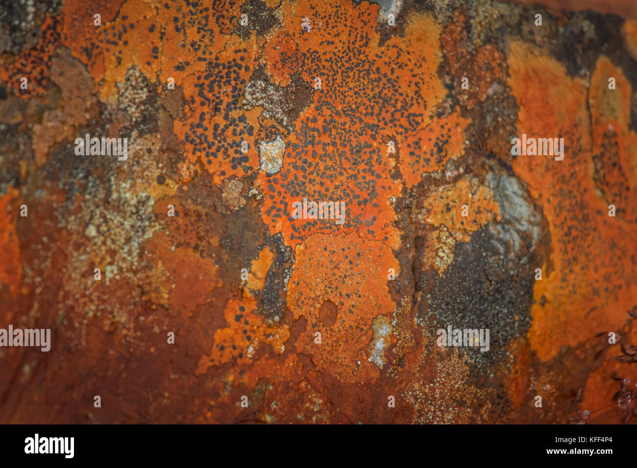 An Orange Rusty Water At The Old Copper Mine In Norway In Winter Stock Photo Alamy