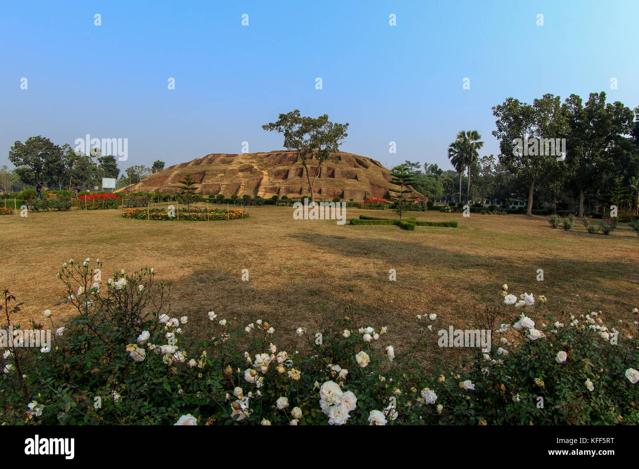 Gokul Medh an excavated mound in the village of Gokul under Bogra Sadar Upazila, about two km southwest of Mahasthangarh citadel. It is popularly know Stock Photo