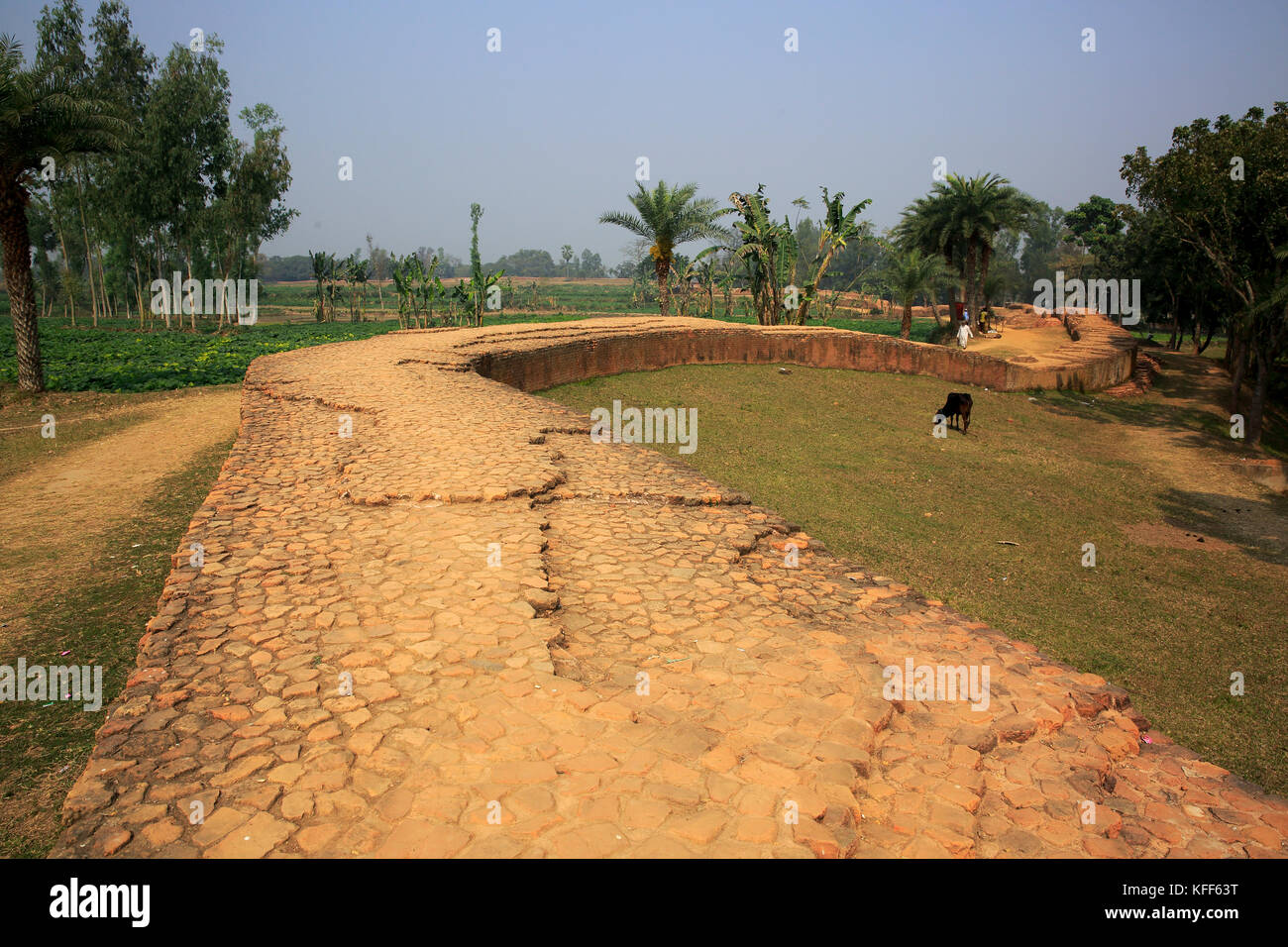 Mahasthangarh is the oldest archaeological site in Bangladesh. It dates back to 700 BCE and was the ancient capital of the Pundra Kingdom. Bogra, Bang Stock Photo