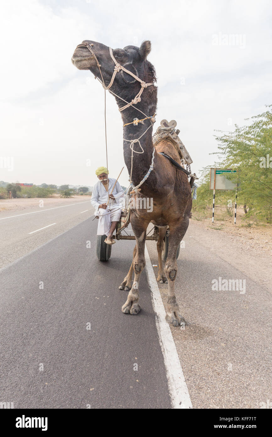 Man On Camel High Resolution Stock Photography And Images Alamy