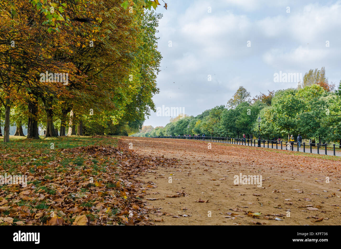 Bridle path at Hyde Park in autumn, London Stock Photo
