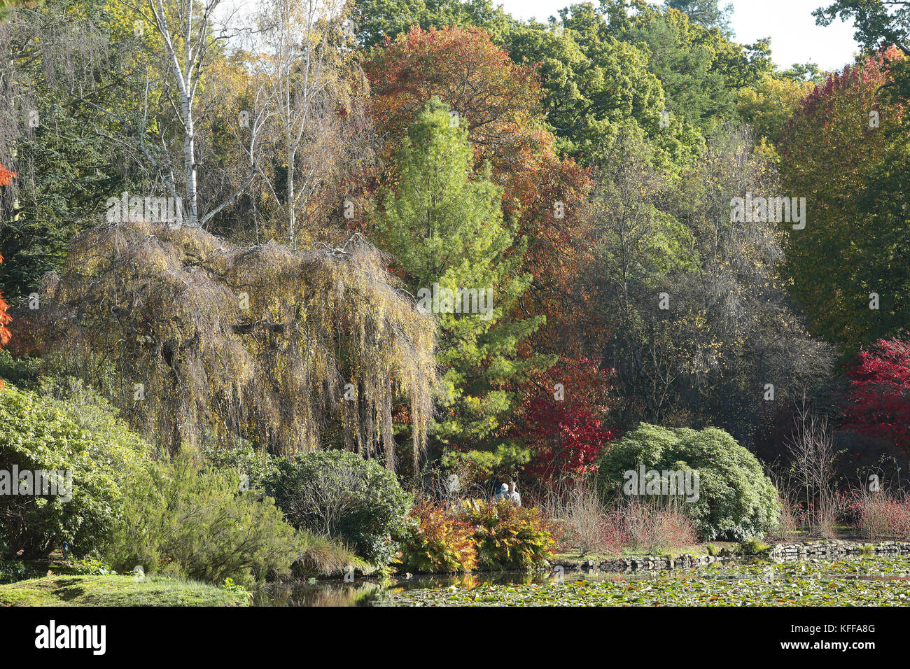 Sheffield Park, East Sussex, UK. 27th Oct, 2017. As the Autumn sun shines the spectacular display of colours come to life at Sheffield Park in East Sussex. The annual display of vivid colours reflecting in the mirror lakes attracts thousands of visitors every year. Credit: Nigel Bowles/Alamy Live News Stock Photo