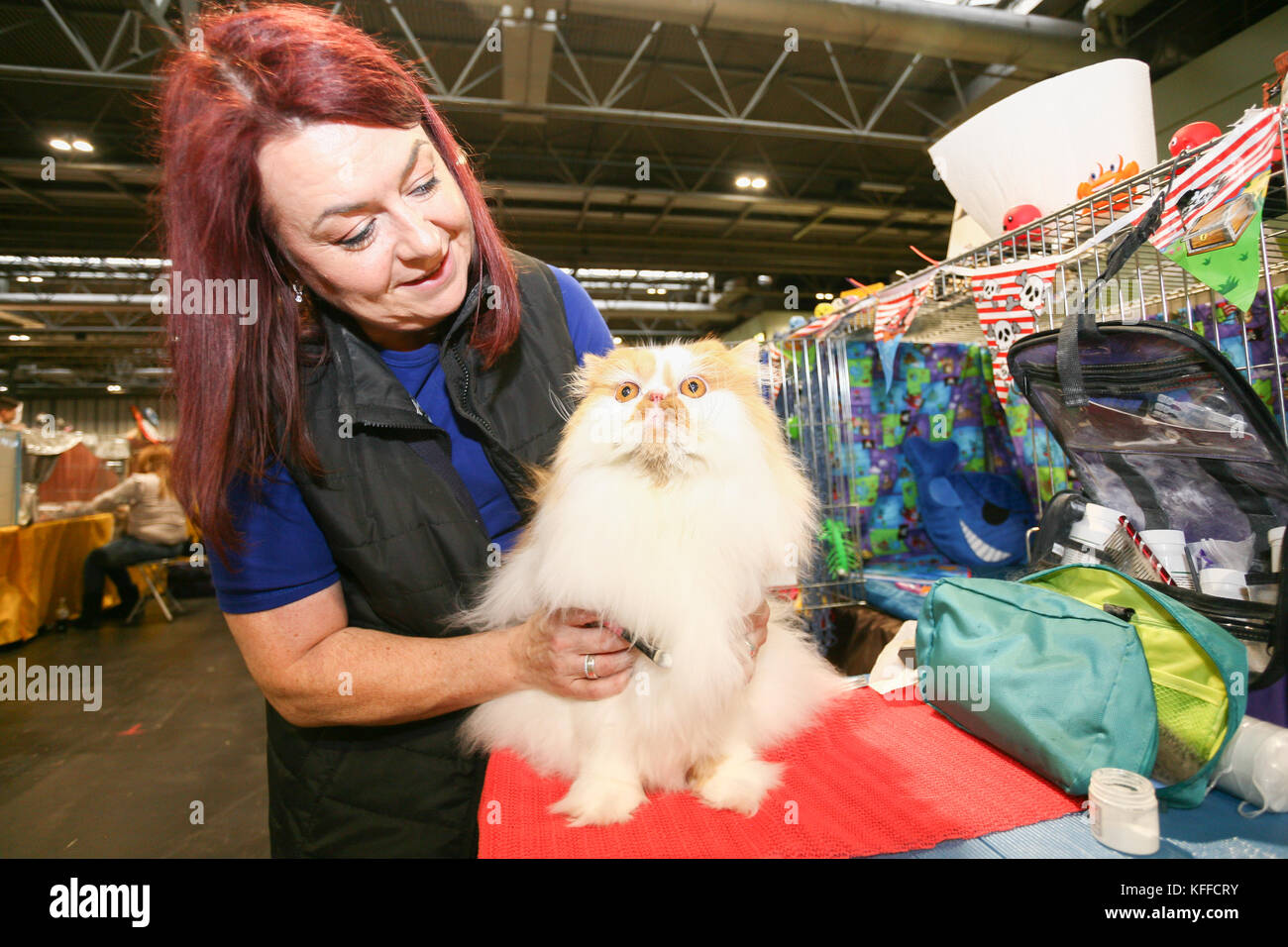 Birmingham, UK. 28th October 2017. Cats and their owners descend on the NEC to show their pedigree bred cats.  Peter Lopeman/Alamy Live News Stock Photo